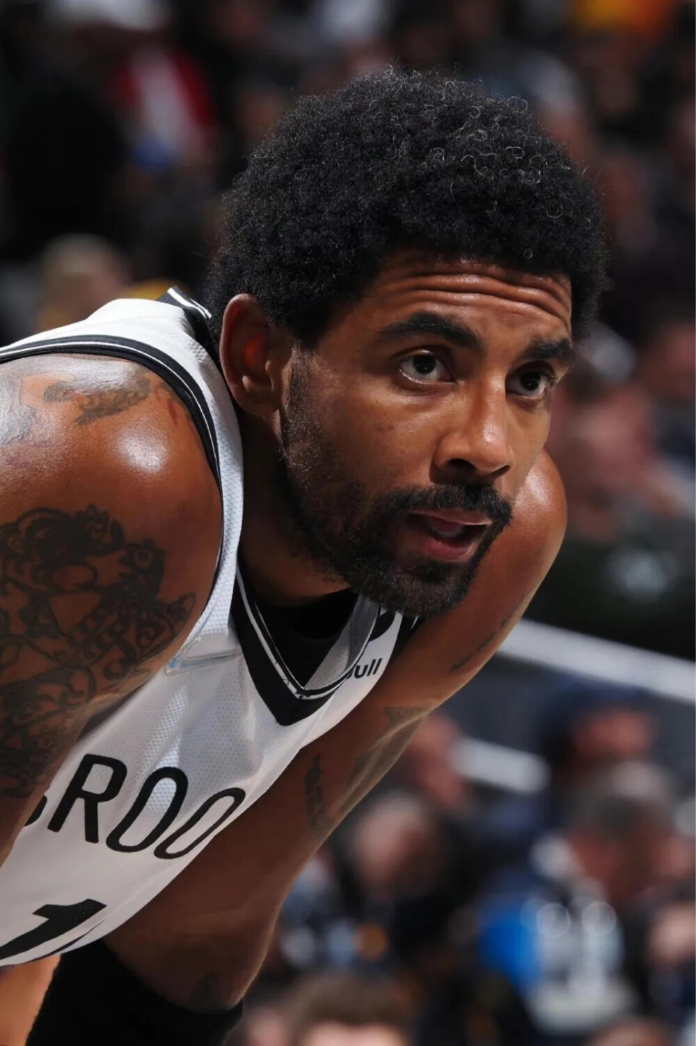 示他能在安 示他能在安