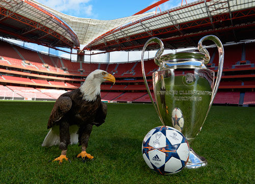 推注过宽会 推注过宽会